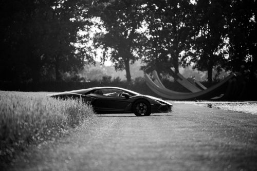 Coppa Heylen 2025 Full Album