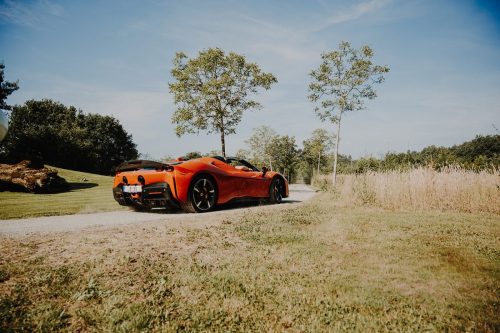Coppa Heylen 2025 Full Album