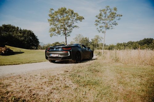 Coppa Heylen 2025 Full Album