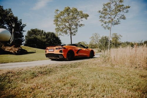 Coppa Heylen 2025 Full Album